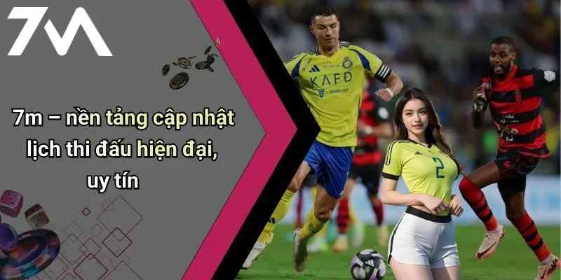 7m – nền tảng cập nhật lịch thi đấu hiện đại, uy tín