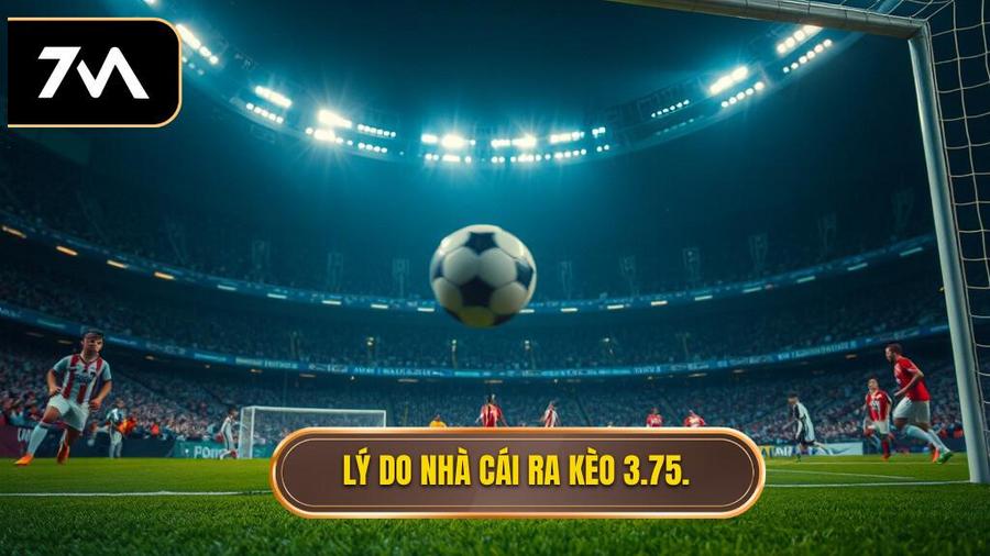 Lý do nhà cái ra kèo 3.75.