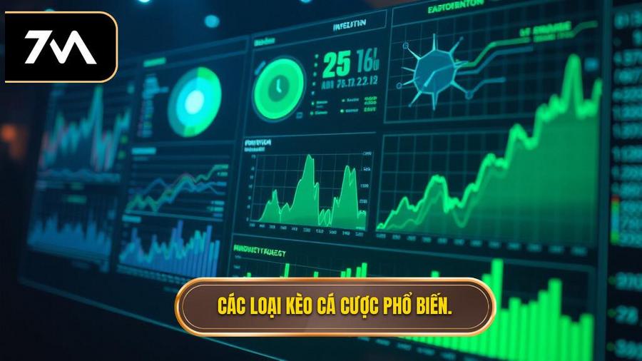 Nhóm thuật ngữ cơ bản về các loại kèo phổ biến